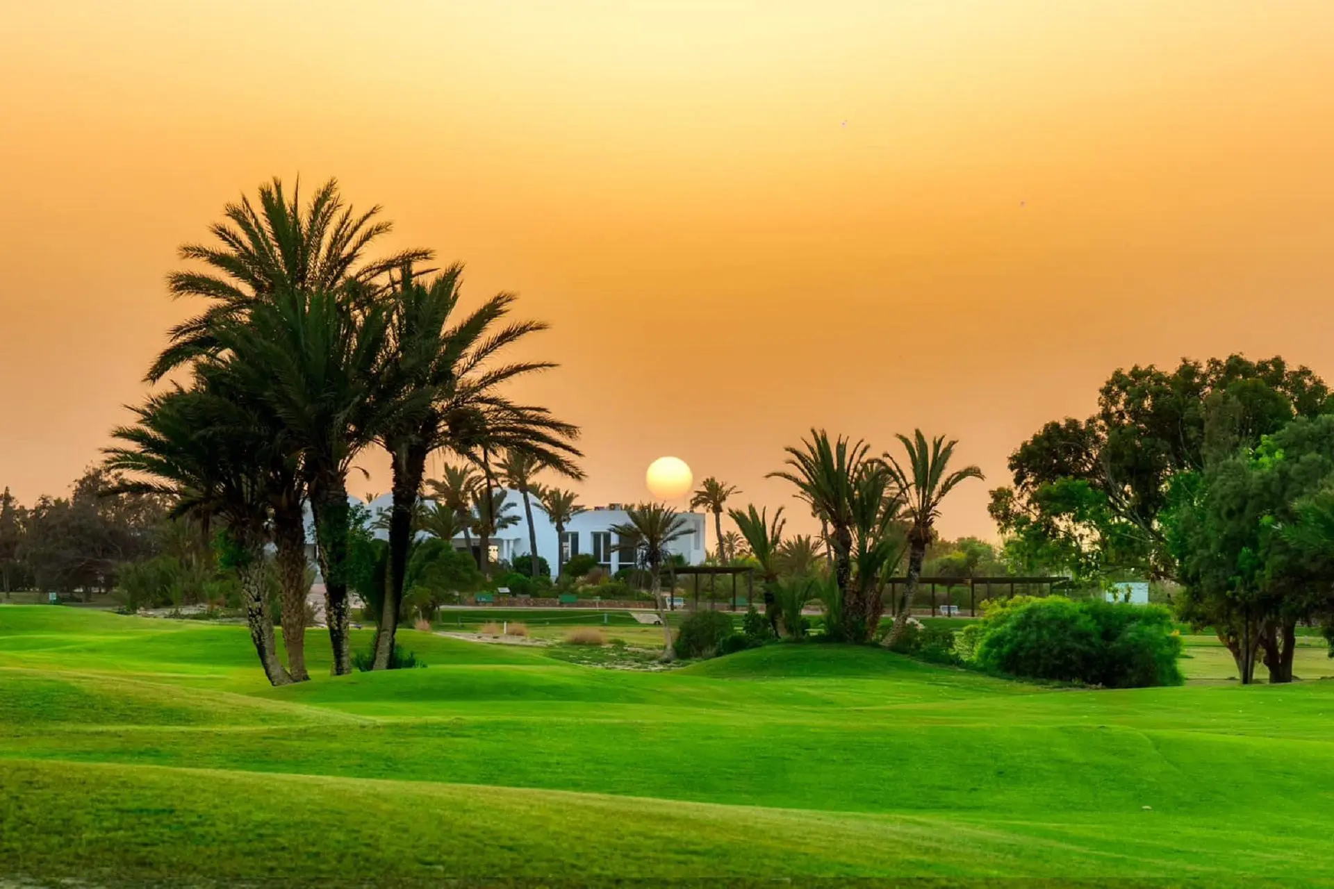 Golf Djerba : Iberostar Waves Mehari 4*